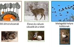 Tervezett programjaink - csalÃ¡di bÃ¶lcsÅ‘dÃ©k - 2024.01.29-i hÃ©t
